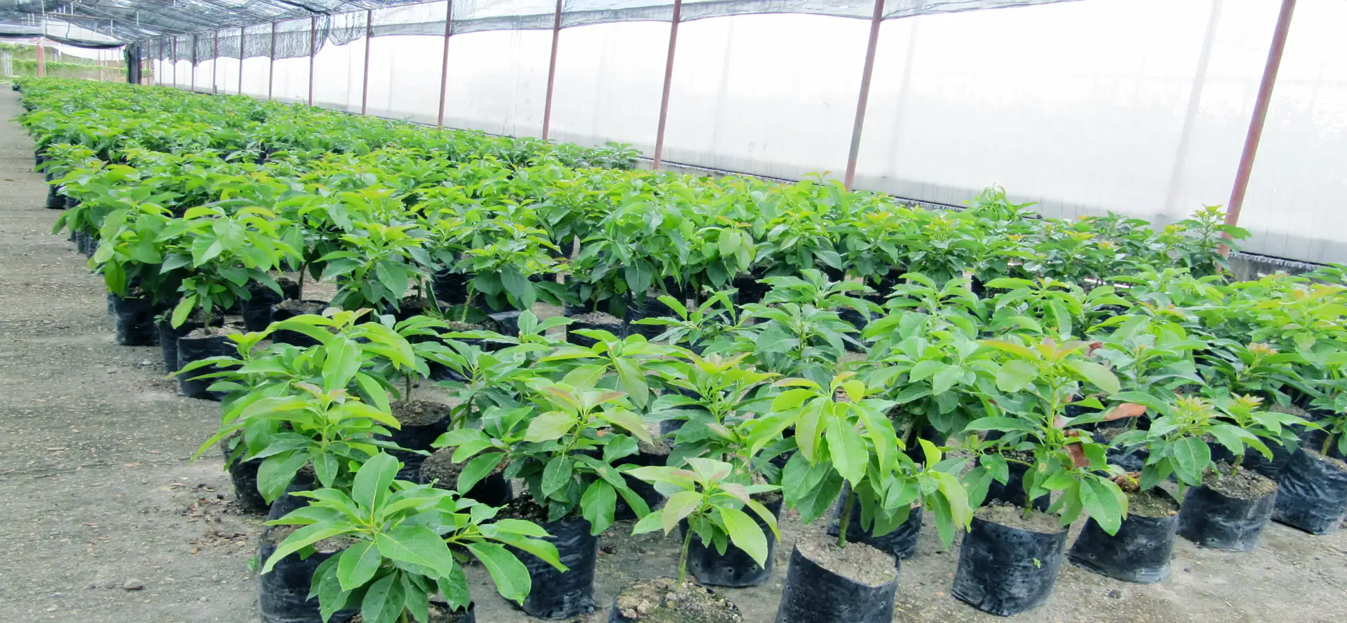 Agricultural Services image